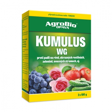 Kumulus WG, 2 x100 g