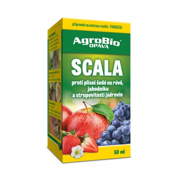 Scala 50ml